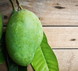 Moisturizer - Purifying Neem and Mango